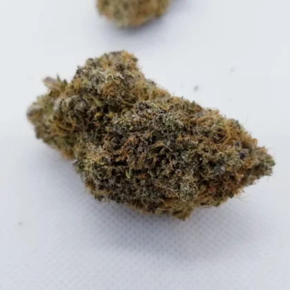 Girl Scout Cookies Cannabis