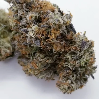 White Widow Cannabis