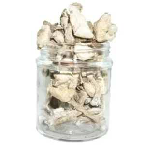 Albino Avery Mushroom