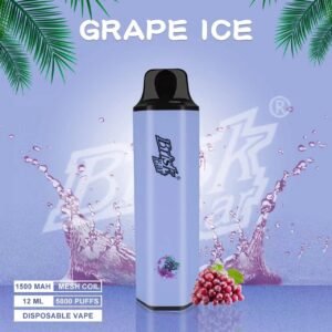 BRISK BAR GRAPE ICE – 5000 PUFFS