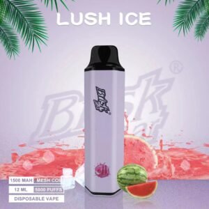 BRISK BAR LUSH ICE – 5000 PUFF