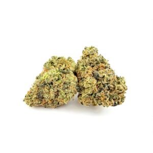 BK SATELLITE (ALIEN LABS)